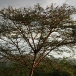 Mission trip in Kenya.