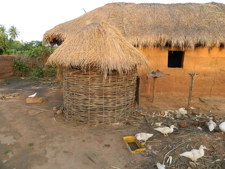 Togo